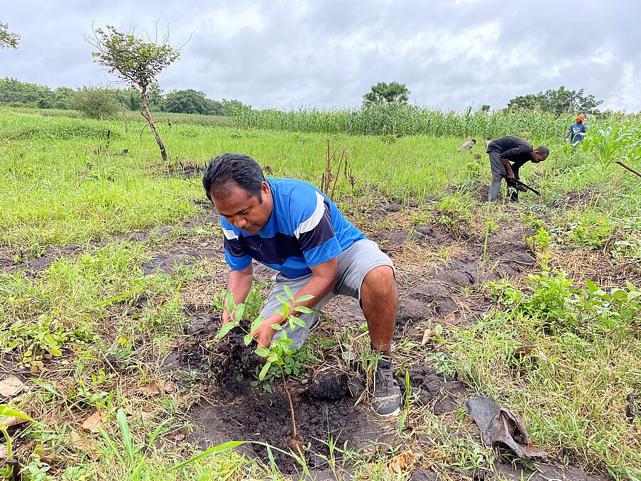 Mit den Spenden aus dem Fastenkalender der Steyler Missionare wird ein Baumpflanzprojekt von P. Bala Wuwur in Togo finanziert. / SVD Mit den Spenden aus dem Fastenkalender der Steyler Missionare wird ein Baumpflanzprojekt von P. Bala Wuwur in Togo finanziert.