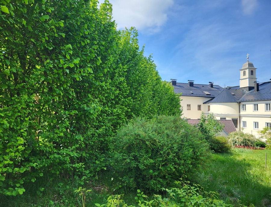 Die Gartenanlage im Karmelitinnenkloster Gmunden war für die klausurierten Schwestern beinahe 200 Jahre lang ein wichtiger Ort ihres Wirkens.